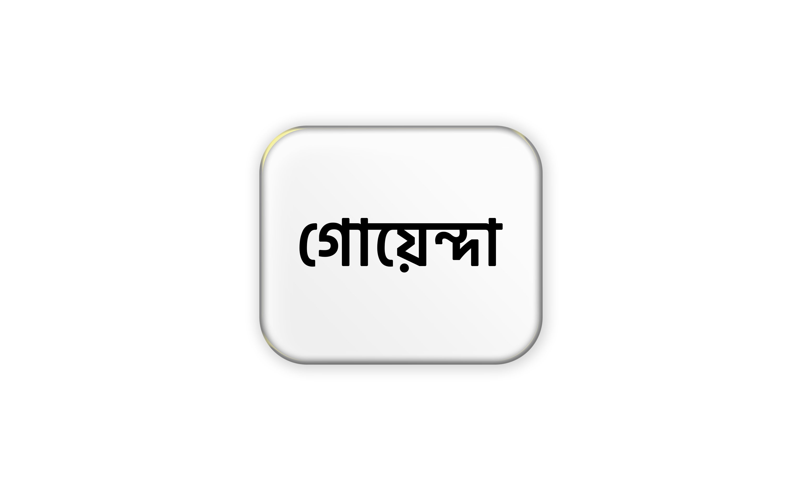 গোয়েন্দা