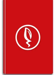 দ্য লেডি অভ ব্লসহোম মেরি