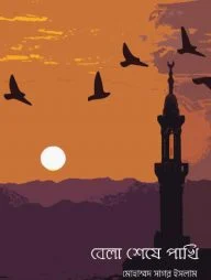 বেলা শেষে পাখি