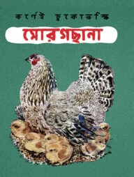 মোরগছানা