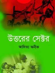 উত্তরের সেক্টর